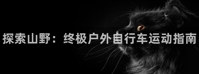 尊龙凯时 -人生就是博!|探索山野:终极户外自行车运动指南(图1) 尊龙凯时 -人生就是博!