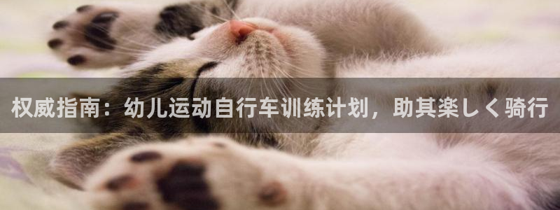 尊龙凯时ag|权威指南:幼儿运动自行车训练计划,助其楽しく骑行(图1) 尊龙凯时ag