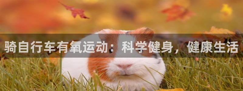 尊龙人生就是博AG旗舰厅|骑自行车有氧运动:科学健身,健康生活(图1) 尊龙人生就是博AG旗舰厅