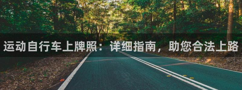 尊龙凯时一人生就是博|运动自行车上牌照:详细指南,助您合法上路(图1) 尊龙凯时一人生就是博