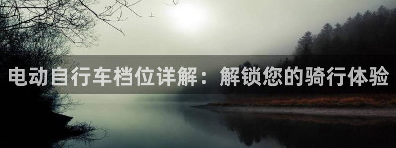尊龙凯时·中国官方网站|电动自行车档位详解:解锁您的骑行体验(图1) 尊龙凯时·中国官方网站