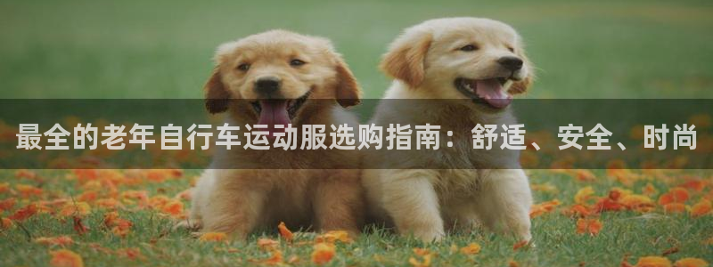 尊龙凯时娱乐|最全的老年自行车运动服选购指南:舒适、安全、时尚(图1) 尊龙凯时娱乐