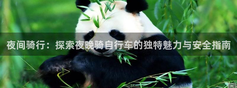 尊龙凯时人生就是博|夜间骑行:探索夜晚骑自行车的独特魅力与安全指南(图1) 尊龙凯时人生就是博