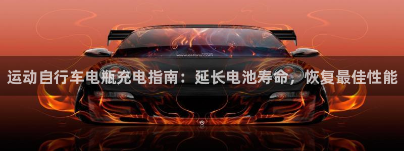 尊龙官网登录入口|运动自行车电瓶充电指南:延长电池寿命,恢复最佳性能(图1) 尊龙官网登录入口