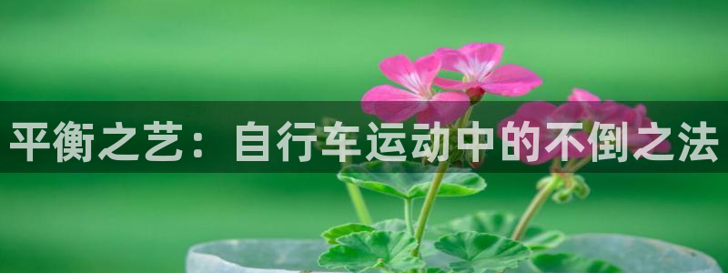 ag尊龙凯时人生就是博|平衡之艺:自行车运动中的不倒之法(图1) ag尊龙凯时人生就是博