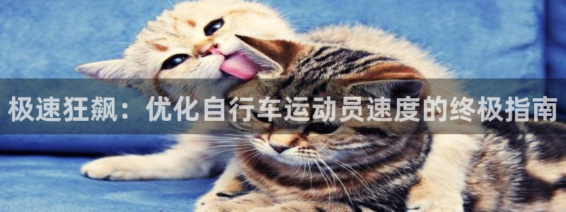 尊龙凯时官网|极速狂飙:优化自行车运动员速度的终极指南(图1) 尊龙凯时官网