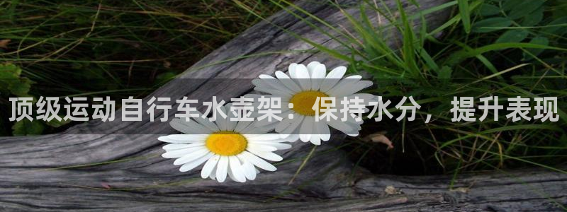 尊龙凯时人生就是博·(中国)官网|顶级运动自行车水壶架:保持水分,提升表现(图1) 尊龙凯时人生就是博·(中国)官网