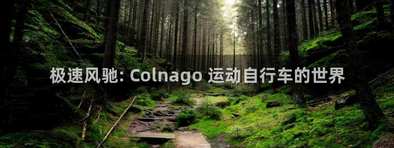 尊龙d88|极速风驰: Colnago 运动自行车的世界(图1) 尊龙d88