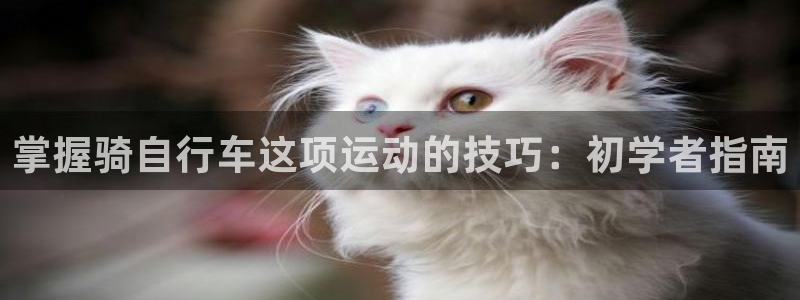 尊龙凯时是正规平台吗|掌握骑自行车这项运动的技巧:初学者指南(图1) 尊龙凯时是正规平台吗