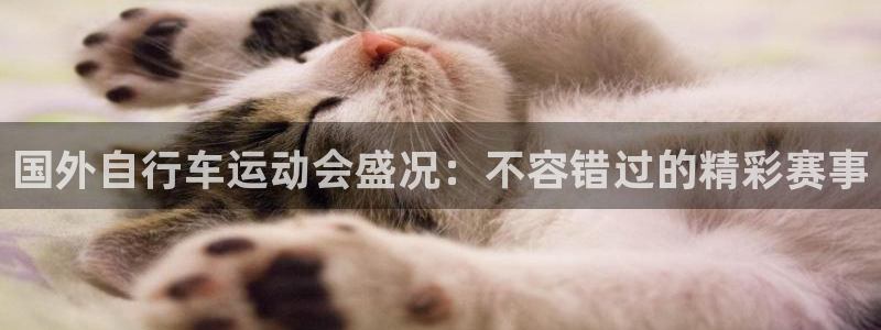 尊龙凯时一人生就是博|国外自行车运动会盛况:不容错过的精彩赛事(图1) 尊龙凯时一人生就是博
