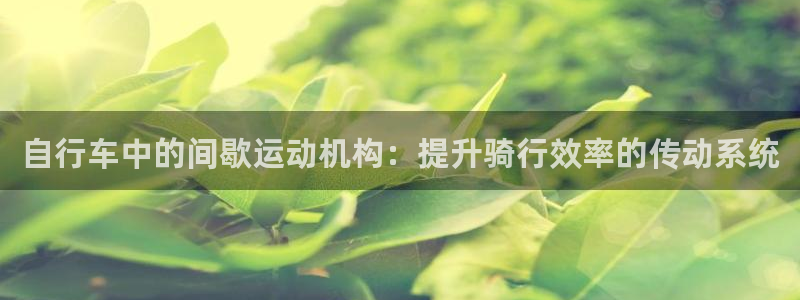尊龙凯时人生就是博·(中国)官网|自行车中的间歇运动机构:提升骑行效率的传动系统(图1) 尊龙凯时人生就是博·(中国)官网
