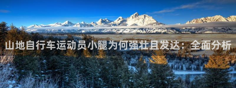 尊龙凯时人生就是搏|山地自行车运动员小腿为何强壮且发达:全面分析(图1) 尊龙凯时人生就是搏
