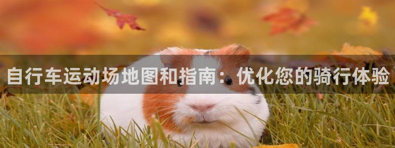 尊龙凯时官网入口|自行车运动场地图和指南:优化您的骑行体验(图1) 尊龙凯时官网入口