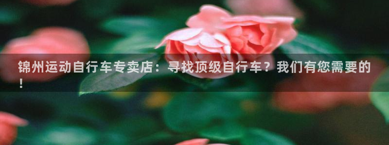 尊龙官网登录入口|锦州运动自行车专卖店:寻找顶级自行车?我们有您需要的
!(图1) 尊龙官网登录入口