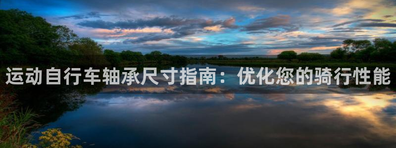 尊龙凯时 -人生就是博!|运动自行车轴承尺寸指南:优化您的骑行性能(图1) 尊龙凯时 -人生就是博!