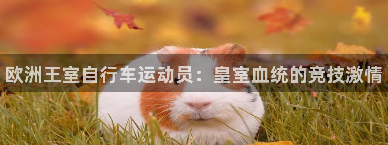 ag尊龙凯时人生就是博|欧洲王室自行车运动员:皇室血统的竞技激情(图1) ag尊龙凯时人生就是博