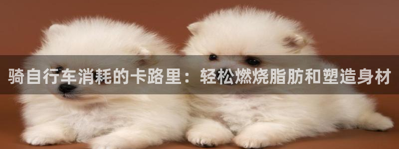 尊龙凯时人生就是搏!官网|骑自行车消耗的卡路里:轻松燃烧脂肪和塑造身材(图1) 尊龙凯时人生就是搏!官网