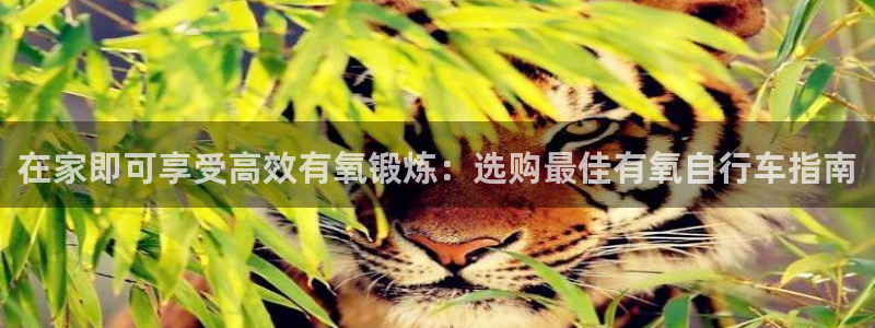 凯时尊龙官网app|在家即可享受高效有氧锻炼:选购最佳有氧自行车指南(图1) 凯时尊龙官网app
