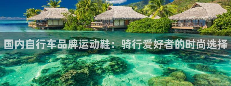 尊龙凯时中国官网|国内自行车品牌运动鞋:骑行爱好者的时尚选择(图1) 尊龙凯时中国官网