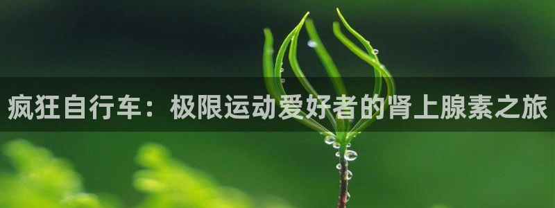 尊龙凯时·中国官方网站|疯狂自行车:极限运动爱好者的肾上腺素之旅(图1) 尊龙凯时·中国官方网站