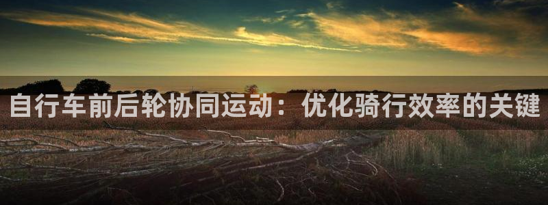 凯时尊龙官网|自行车前后轮协同运动:优化骑行效率的关键(图1) 凯时尊龙官网